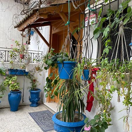 Casa Zitouna - Guest House - Kef, Tunisia Sicca Veneria Eksteriør bilde