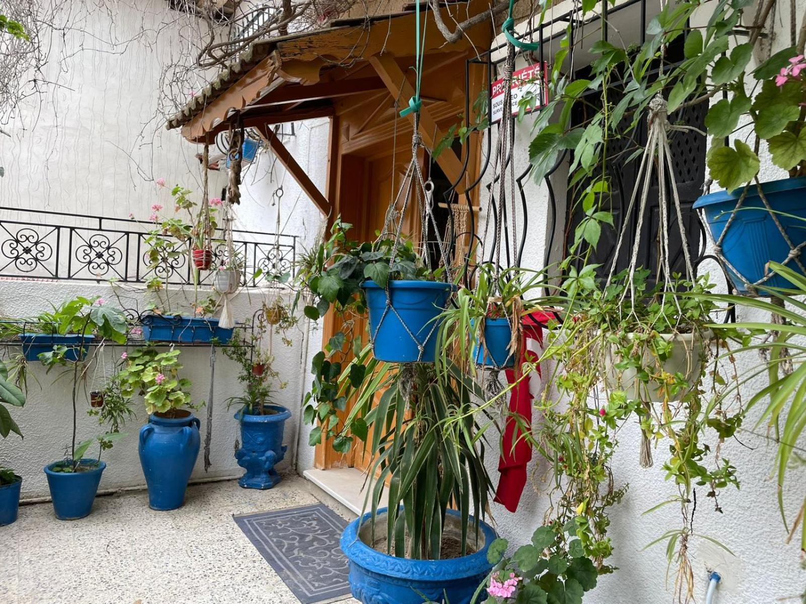 Casa Zitouna - Guest House - Kef, Tunisia Sicca Veneria Eksteriør bilde