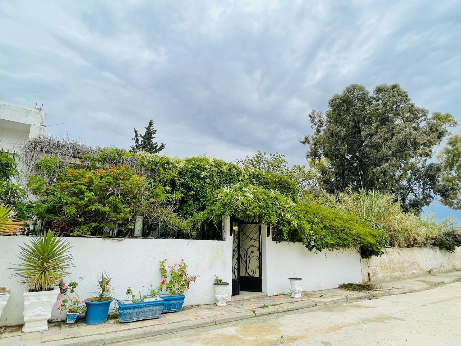 Casa Zitouna - Guest House - Kef, Tunisia Sicca Veneria Eksteriør bilde